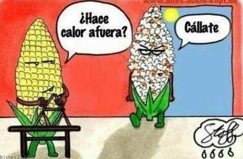 Los memes que ha dejado la ola de calor en Santiago