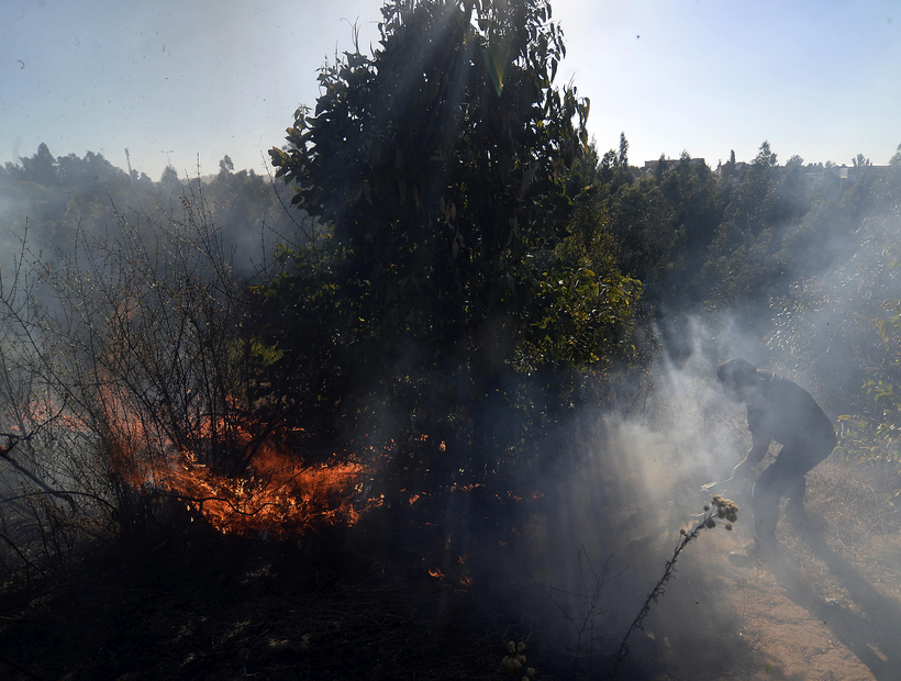 Onemi informó que hay 62 incendios forestales entre Valparaíso y La Araucanía