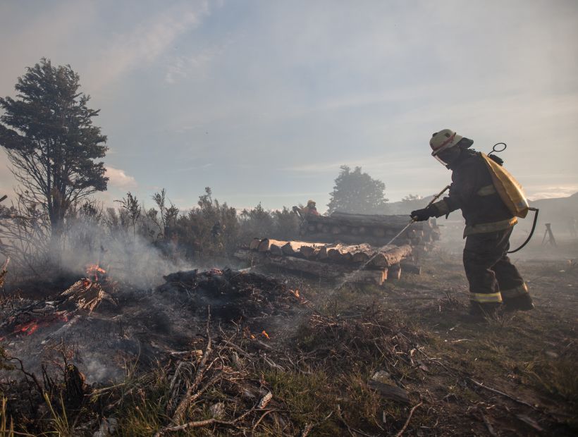 La Conaf informó que nueve incendios forestales están activos en el país
