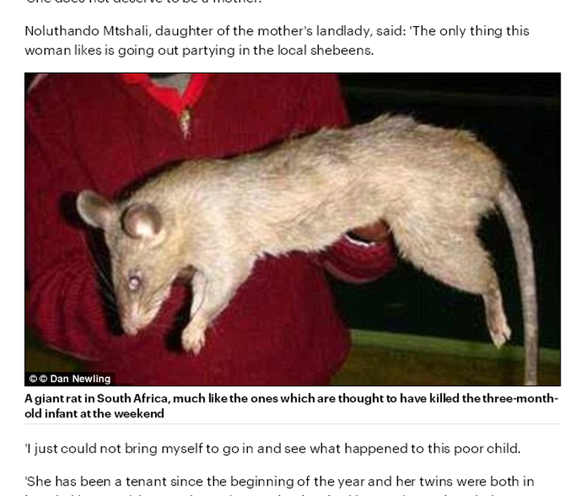 Niña de 3 años fue devorada por ratas gigantes luego que su madre la dejara sola para ir a una fiesta