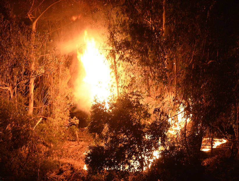 Onemi: 15 incendios forestales permanecen activos entre las regiones de Valparaíso y Biobío
