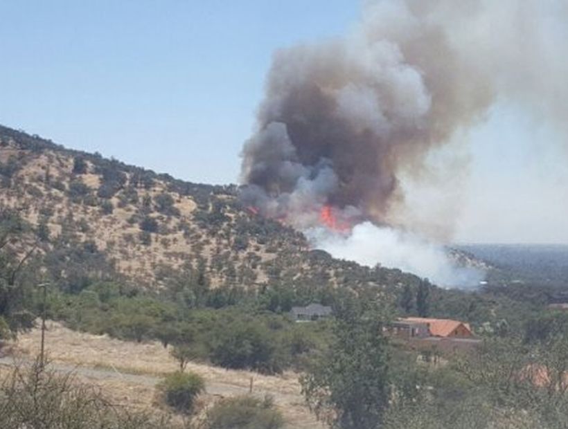 Alerta roja para la comuna de Pirque por incendio forestal: cuatro viviendas afectadas