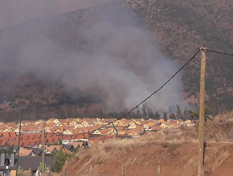 Bomberos y Conaf combaten un incendio forestal en Alto Macul