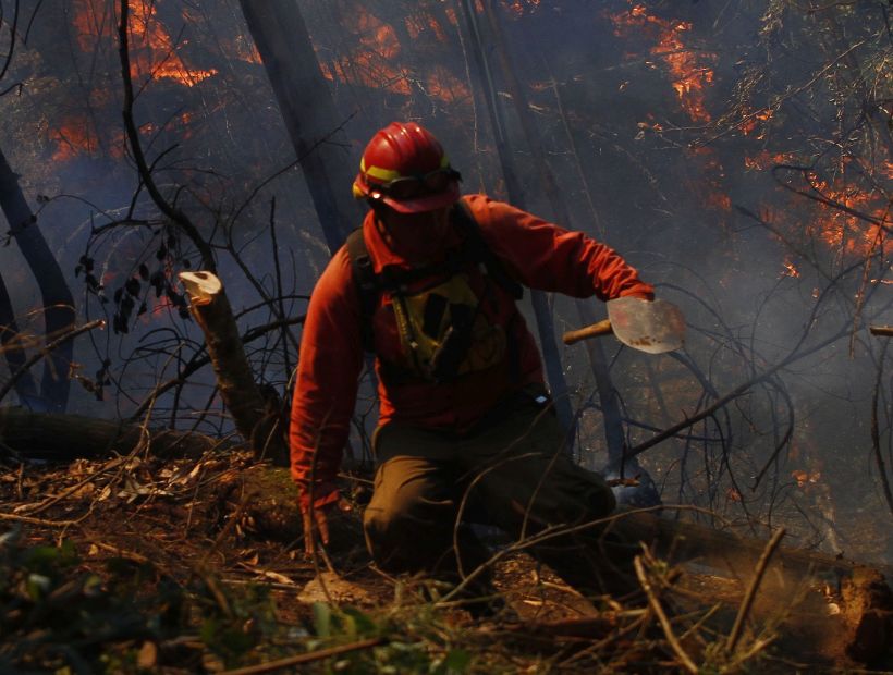 La Onemi cifró en 81 mil las hectáreas afectadas por los incendios forestales