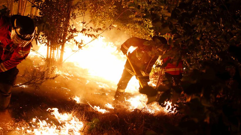 1.200 miembros de las Fuerzas Armadas y 500 bomberos se sumaron para combatir incendio en O'Higgins y El Maule