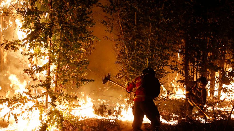 Más de 100 mil hectáreas han sido afectadas por los incendios forestales