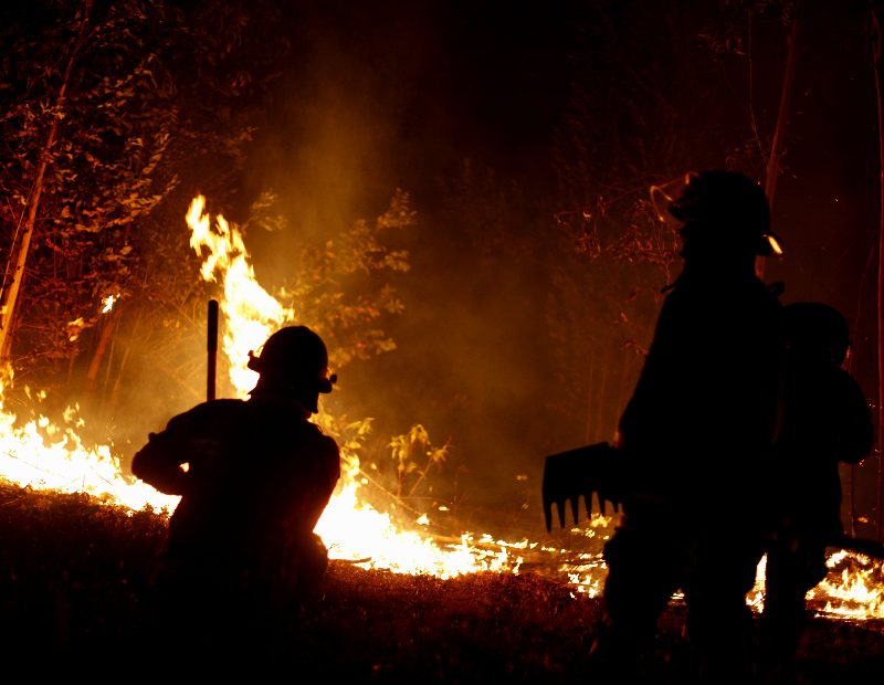 Incendio de Bulnes ya suma 500 hectáreas consumidas y 13 viviendas destruidas