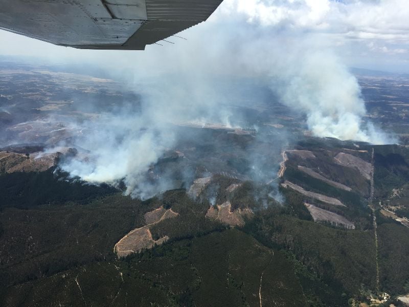 Incendios Forestales Han Destruído Más De Mil Hectareas De Bosque En Lumaco 3708