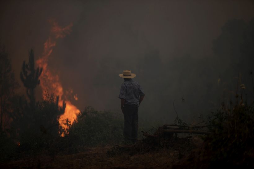 Conaf: 110 incendios forestales activos y 60 están siendo combatidos