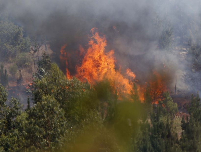 Bolivia ofreció su ayuda a Chile por los incendios forestales