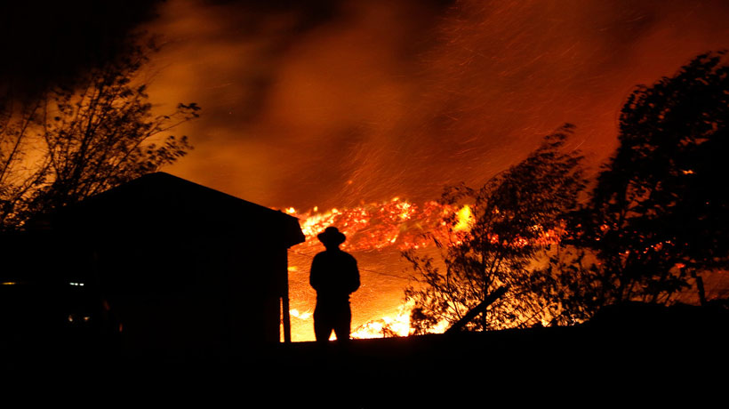 Conaf: 72 incendios forestales se encuentran en combate y el Biobío presenta la mayor complejidad
