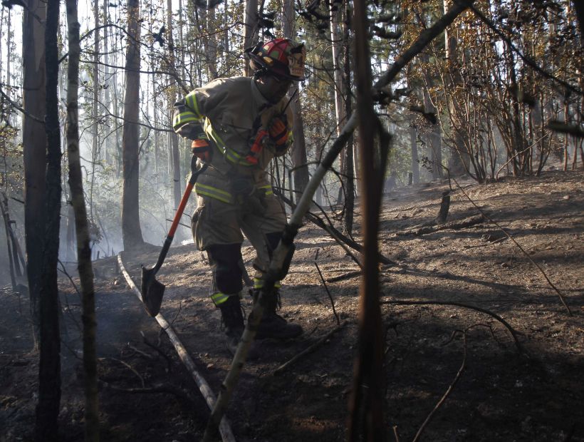 Onemi: hay más de cuatro mil damnificados por los incendios forestales