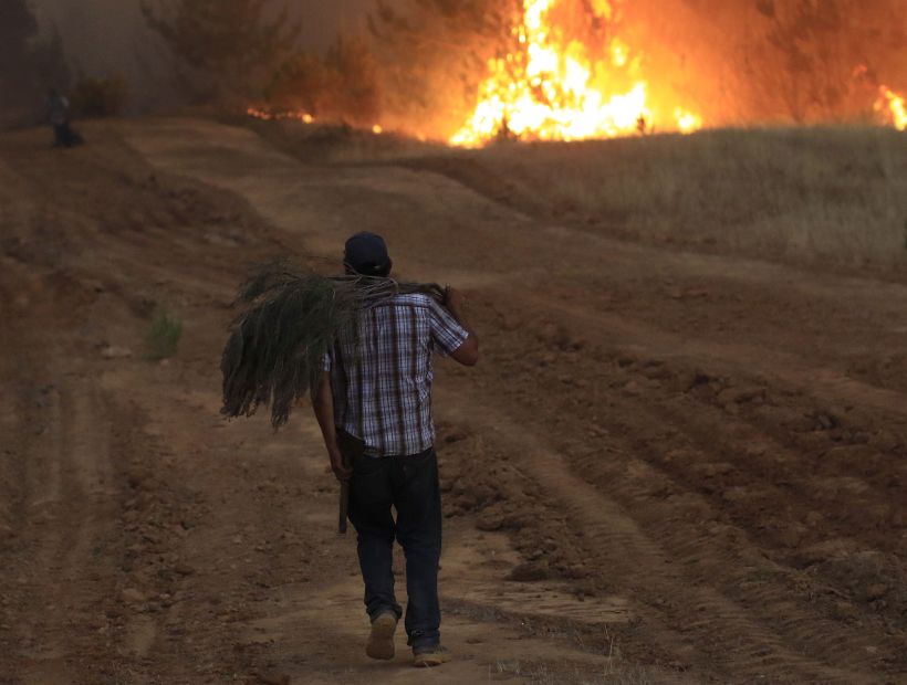 Se lograron contener los incendios forestales en El Maule