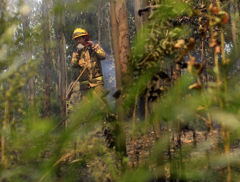 La TV chilena recaudó unos 17 millones de dólares en ayuda para los afectados por incendios