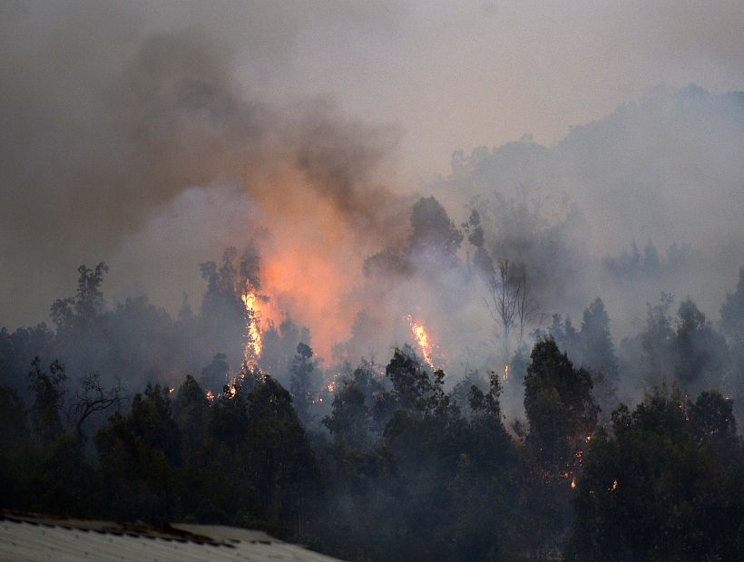 Balance de Conaf: permanecen 6 incendios forestales en combate