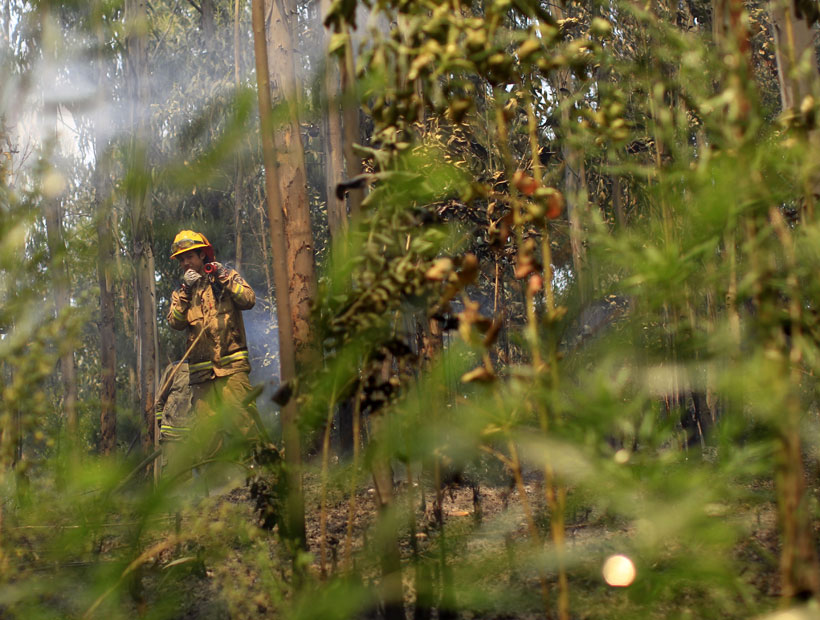 Empresario declaró ante el fiscal que investiga la difusión de noticias falsas sobre los incendios forestales