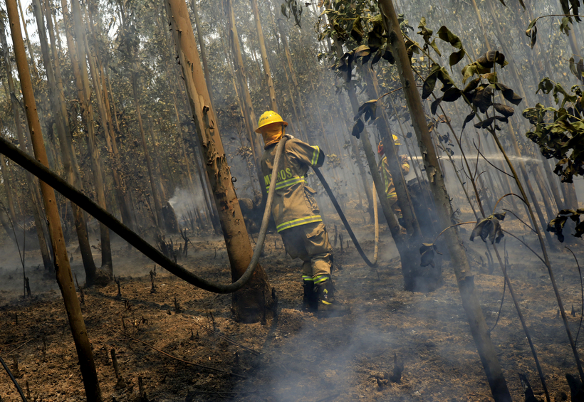 Bomberos de Chile: "No nos interesa, ni tampoco aceptaríamos que nos paguen un sueldo"