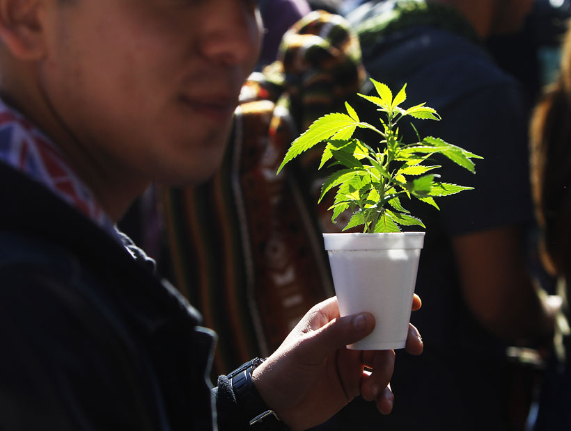 Nuevo director de Senda dijo que el Gobierno plantea regular el consumo de marihuana como en EE.UU. y Uruguay