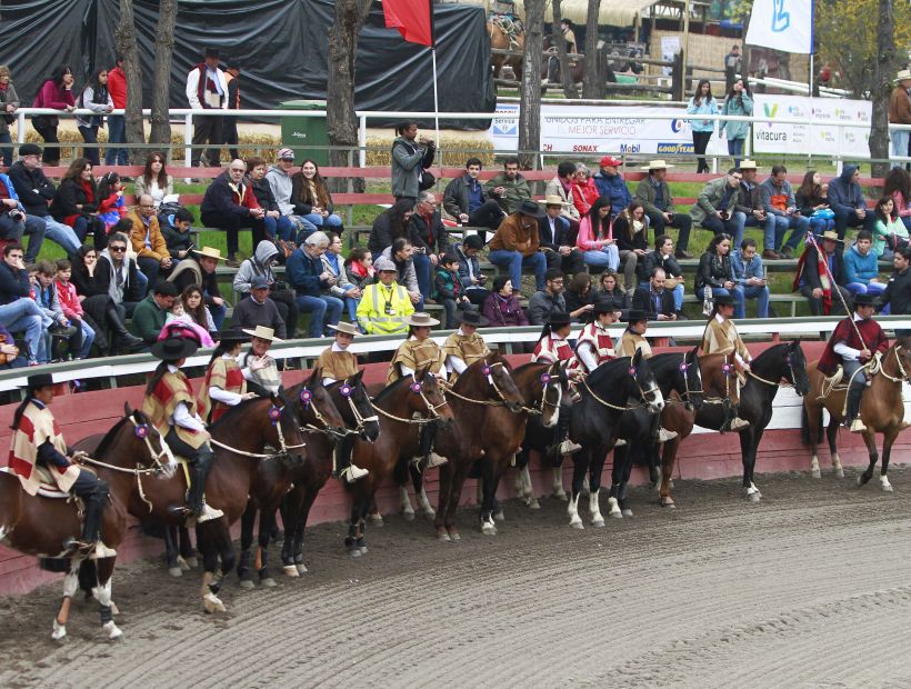 Concejal solicitó prohibir el rodeo en Rancagua