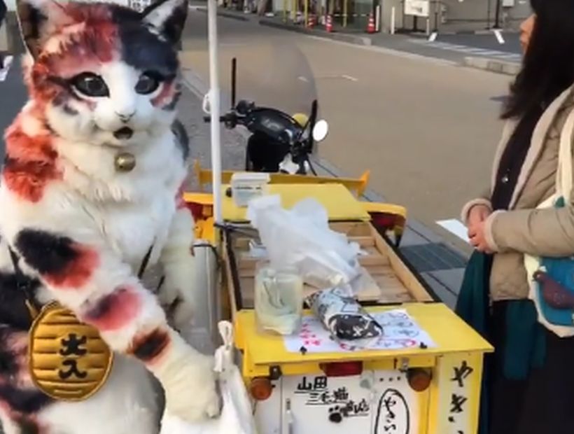 Este comerciante vestido de gato en China se transformó en un viral