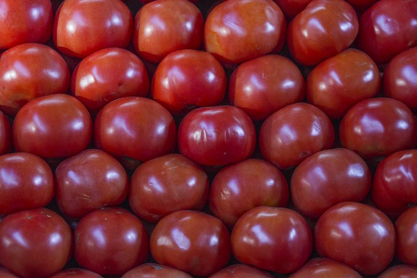 Investigadores del CSIC descubren el gen clave que produce tomates sin semillas