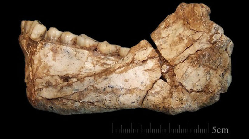 Encontraron en Marruecos los restos del Homo Sapiens más antiguo del mundo