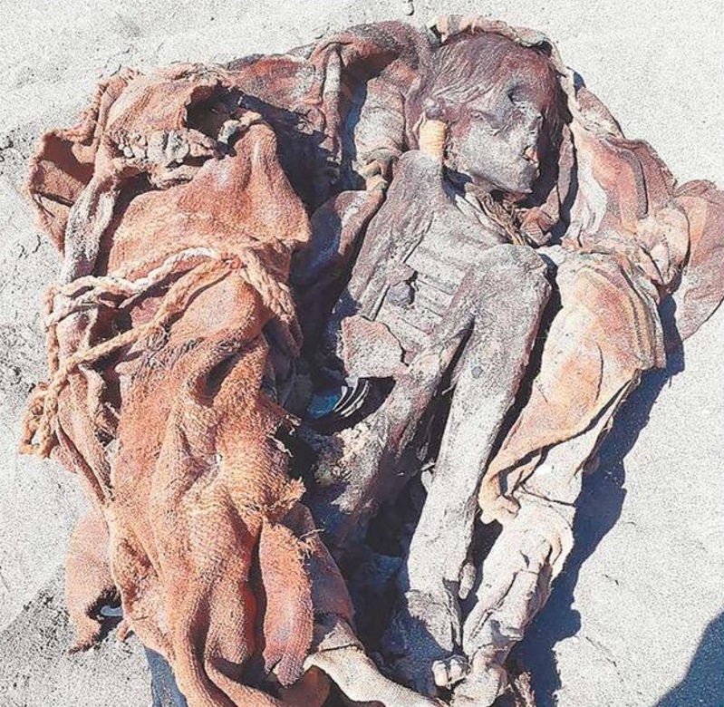 Perros fueron sorprendidos jugando con osamamentas prehispánicas al norte de Tocopilla Perros fueron sorprendidos jugando con osamamentas prehispánicas al norte de Tocopilla