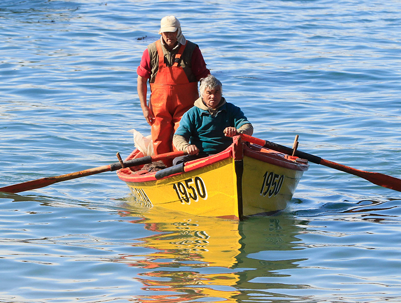 Antofagasta Embarcaciones De Pesca Artesanal Sufren Cerca De 150 Accidentes Por Naufragios Y 2955