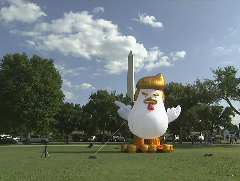 Instalaron un pollo inflable gigante con el peinado de Trump fuera de la Casa Blanca