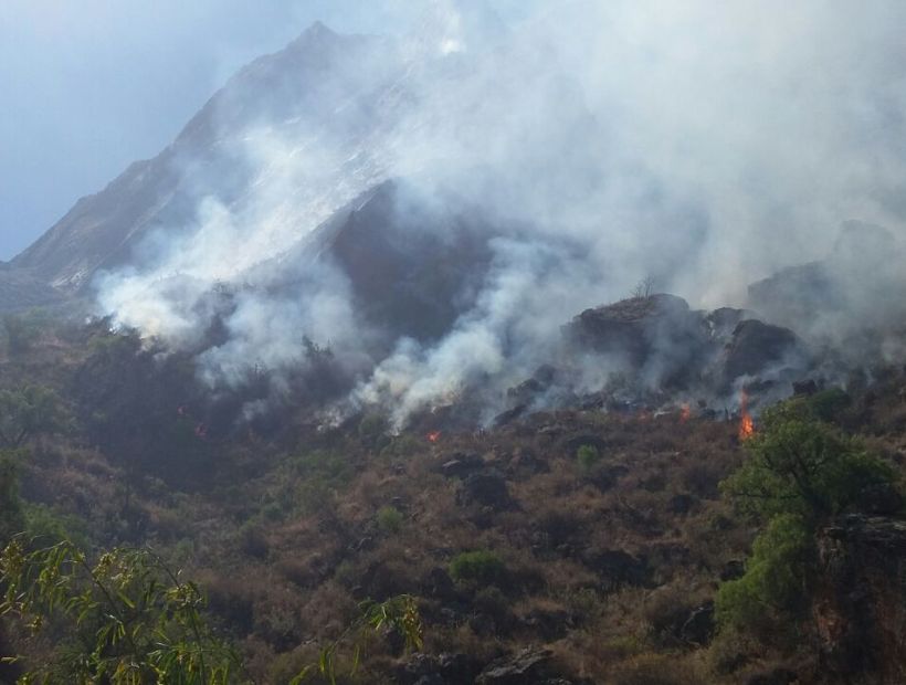 Chile ofreció ayuda a Bolivia por los incendios forestales que consumen una reserva biológica
