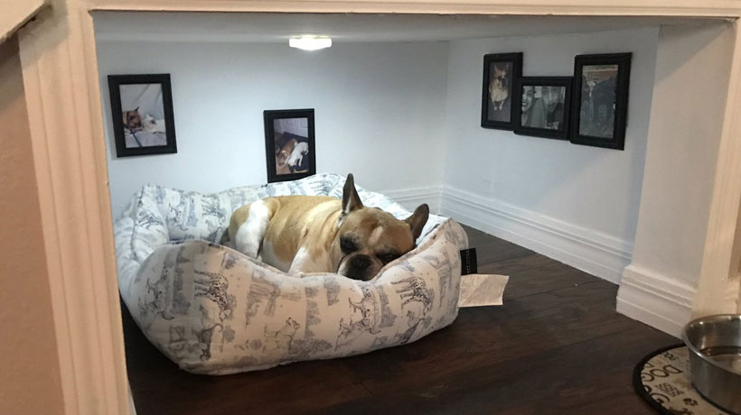 Hombre construyó y decoró pieza para su perro aprovechando un espacio en su casa