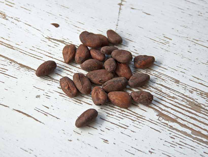 Sustancias del cacao protegen de males cardiovasculares, según estudio