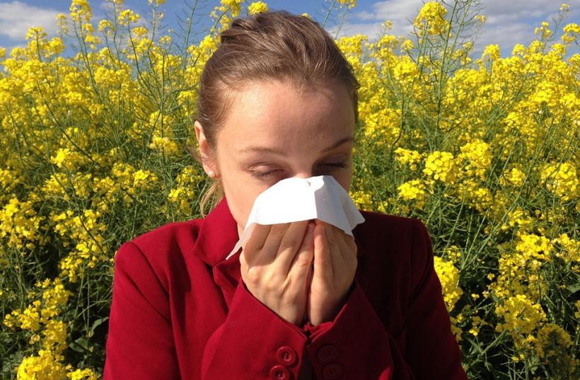 Claves para distinguir un resfrío de una alergia