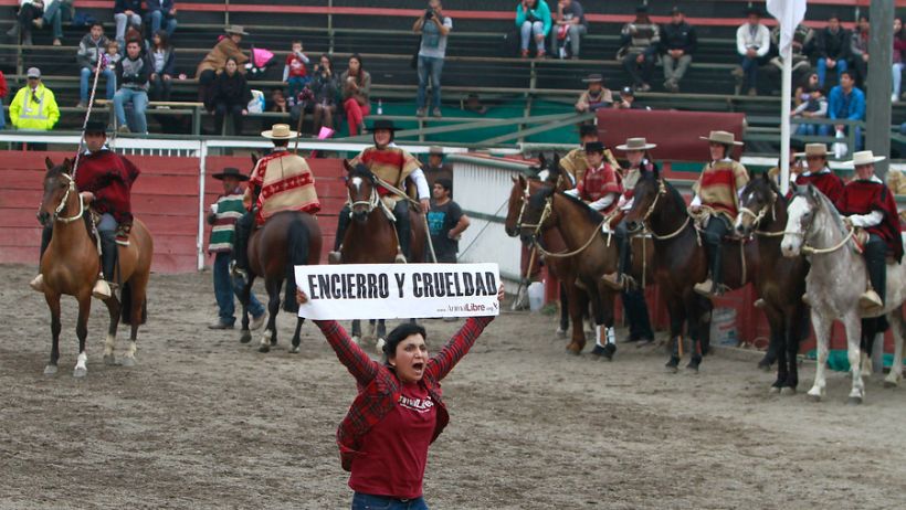 Fernando Atria criticó el rodeo: 