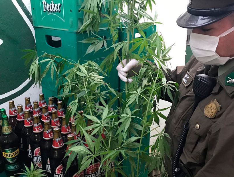 Foto: Carabineros.