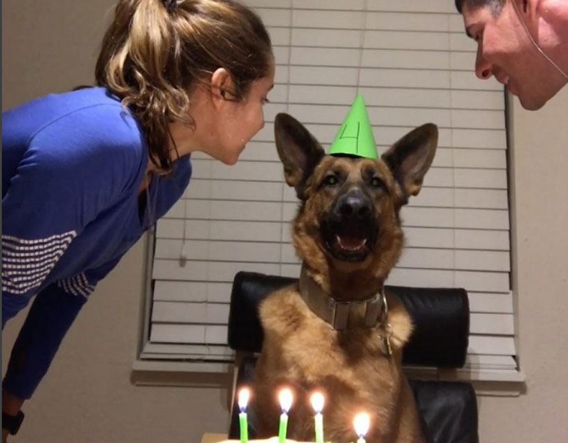 [VIDEO] Este perro celebró de una manera adorable su cumpleaños número 4