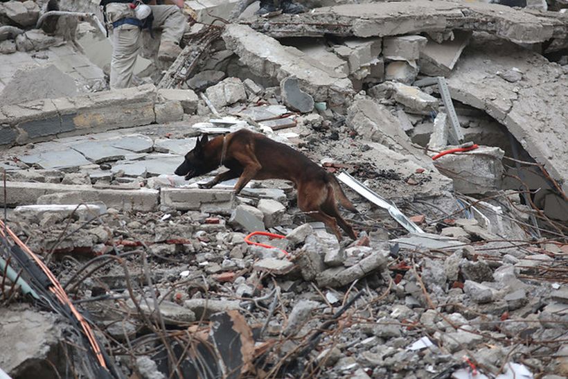 Cifra de muertos por terremoto de México se elevó a 273