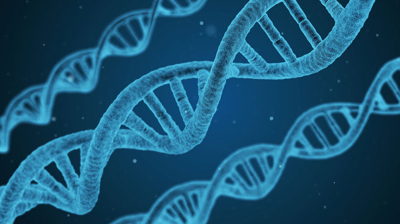 Investigadores dijeron haber realizado por primera vez tipo de cirugía para remover defecto genético en un embrión humano