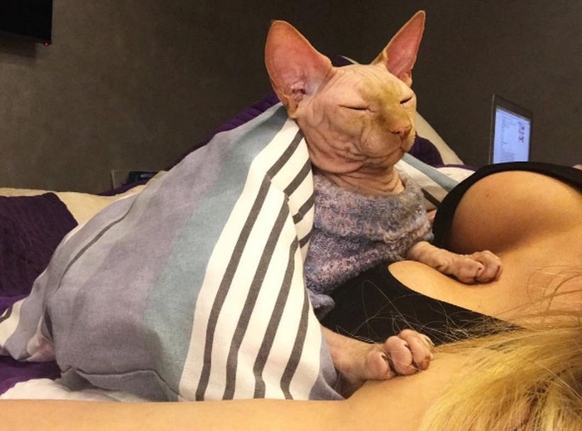 [FOTOS] Modelo ucraniana tatuó a su gato para hacerlo 