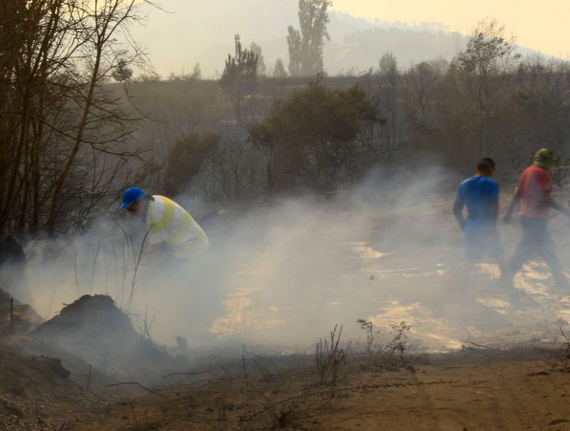 Incendios forestales: Bomberos advirtió el riesgo de nuevos siniestros en la zonas afectadas el verano pasado