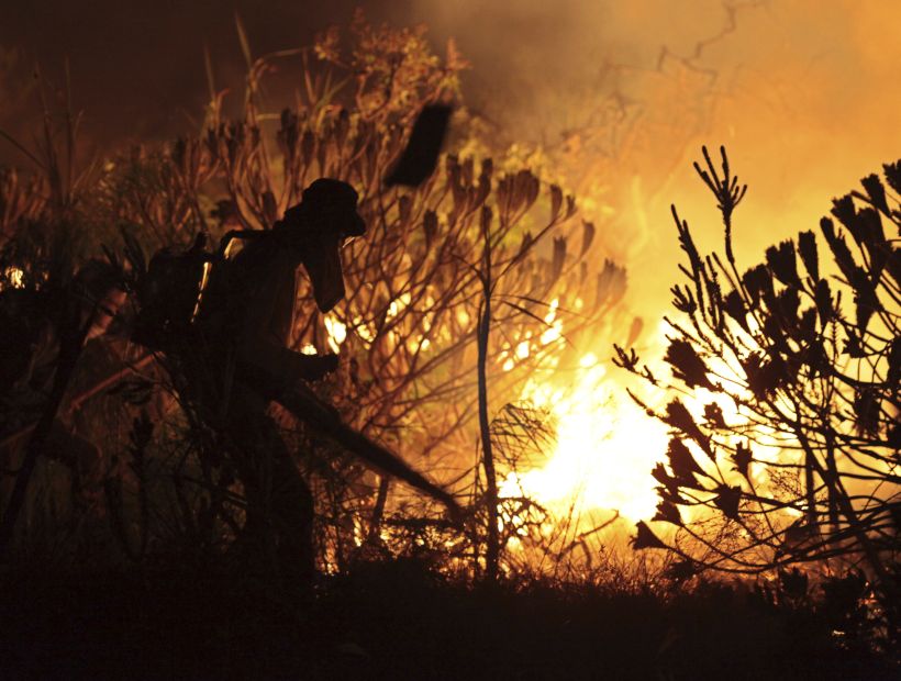 Un incendió arrasó con 68 mil hectáreas de un parque nacional brasileño