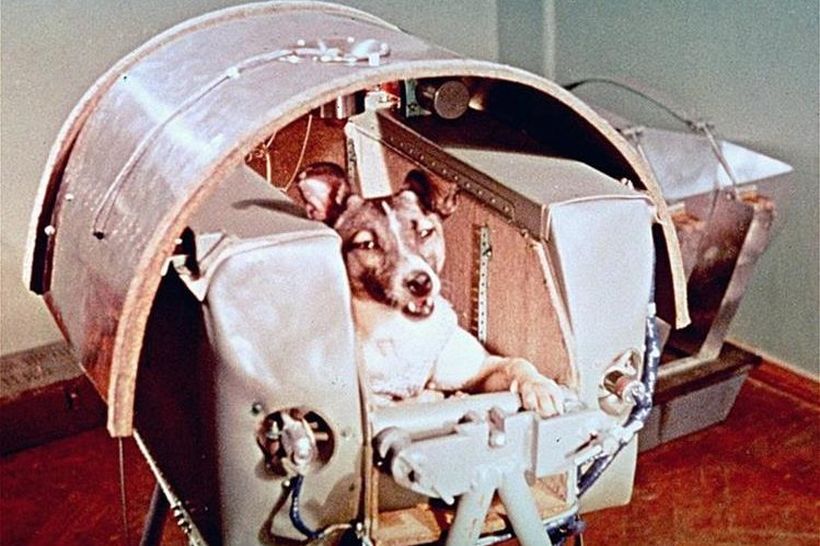 Se cumplen 60 años del viaje de Laika, la perra que abrió las puertas del espacio a la humanidad