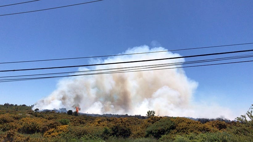 Decretan Alerta Amarilla Por Incendio Forestal En Puerto Montt