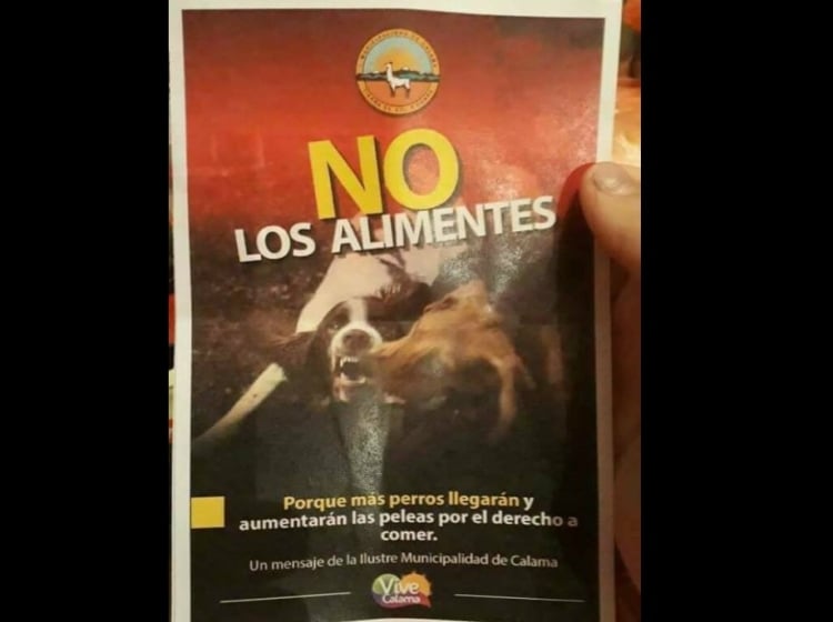 Este Es El Pol Mico Afiche Del Municipio De Calama Que Ped A No