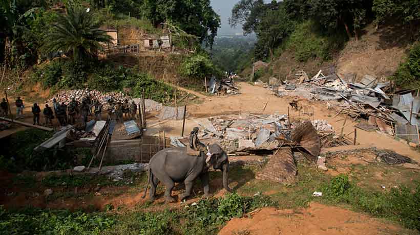 Con elefantes desalojaron un asentamiento ilegal en India