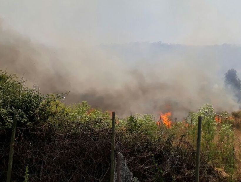 VIDEO Onemi decretó alerta roja para la comuna de Melipilla por