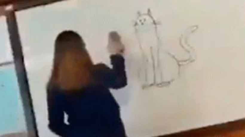 Profesora borró un gato dibujado en la pizarra y se llevó una gran sorpresa