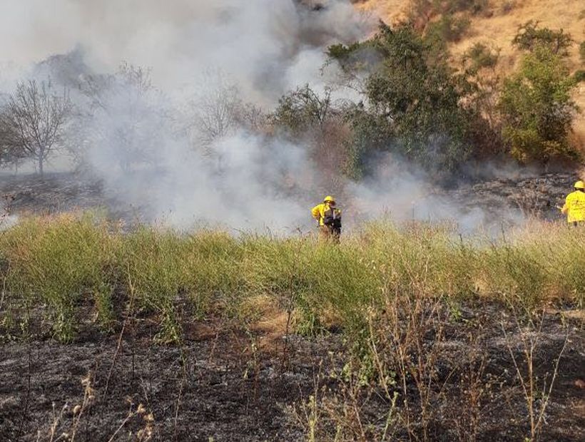 Incendio afecta a la ladera norte del cerro San Cristóbal