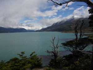 Encontraron inédito sitio de arte rupestre en Tierra del Fuego