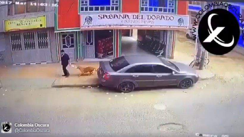 [VIDEO]Perro callejero colombiano le robó una bolsa de carne a un comprador en Bogotá